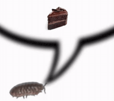 Cake Isopod GIF