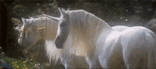 glitter unicorn GIF