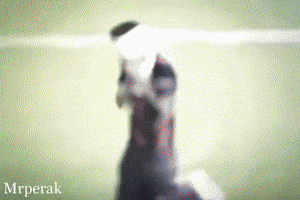 World Cup Football GIF