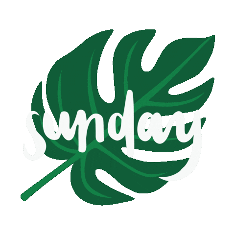 Happy Sunday Hello Sticker