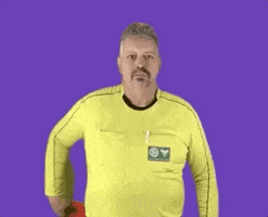 Referee Schiri GIF by BUSINESSCUP