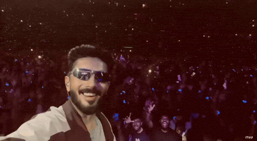Concert Vibing GIF