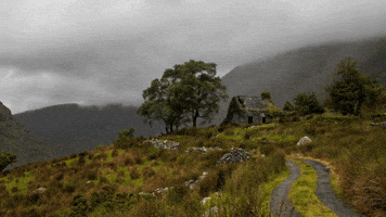 ireland GIF