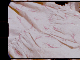 200.gif?cid=fc005b08423ad05dacf9dec63681efe1469356b4bef213b7&rid=200.gif&ct=g