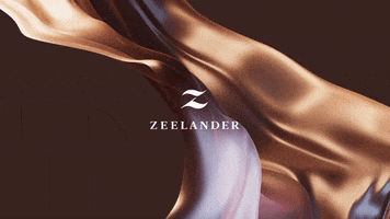 Zeelander GIF