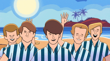Summer Surf GIF by The Beach Boys