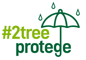 2Tree Ambiental Sticker by 2Tree