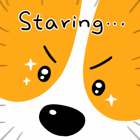Dog Please GIF