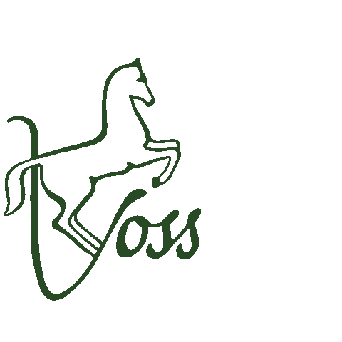 Happy Shopping Sticker by Reitsport Voss