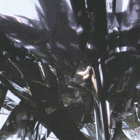 200.gif?cid=fc005b087a2acbab60d2a7c21ffd2fb5acdd8879442f63b0&rid=200.gif&ct=g