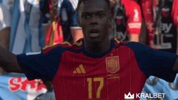 Argentina Fifaworldcup GIF by Kral Social