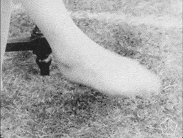 Black And White Vintage GIF by Okkult Motion Pictures Black And White Vintage GIF by Okkult Motion Pictures