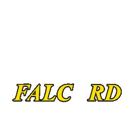 Falcord Sticker