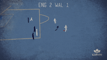 Euro 2016 Illustration GIF by COPA90