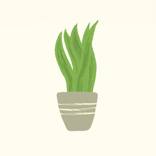 Vibes Growing GIF