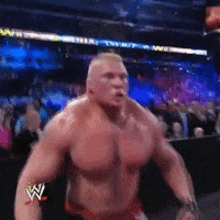 going crazy brock lesnar GIF by WWE