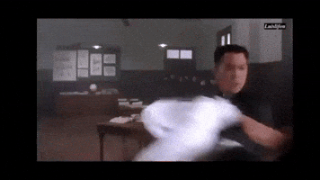 Fight GIF
