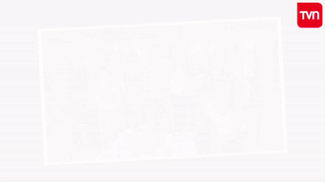 rominavidalandrade  GIF