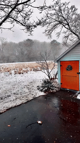 Snow Day GIF