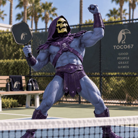 Pickleball Pickle GIF by TOCO67