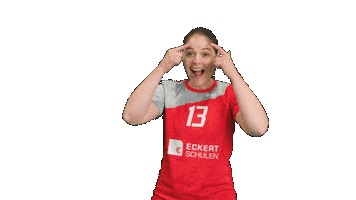 TB/ASV Regenstauf Sticker