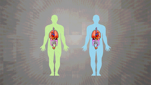 symmetry GIF