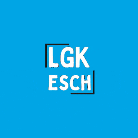 Happy School GIF by Lgkesch