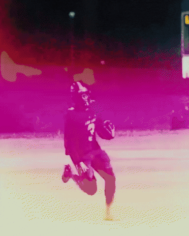 Fight On Lone Star GIF