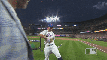Major League Baseball Spinning GIF by MLB