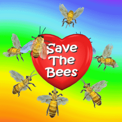 Honey Bees Save The Planet GIF