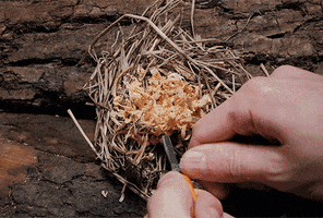 Survival GIF