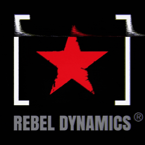 Rebel.Dynamics GIF