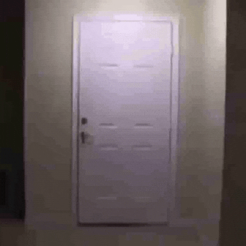 Door GIF