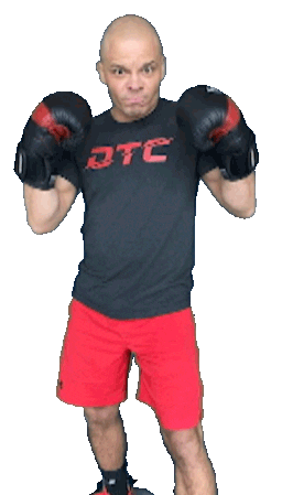 Boxing Posing Sticker by Duncan's Training Center