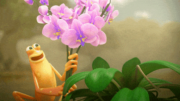 200.gif