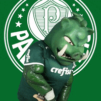 angry soccer GIF by SE Palmeiras