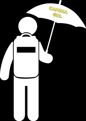 CaminaGDL GIF