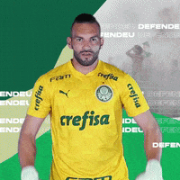 Puma Libertadores GIF by SE Palmeiras