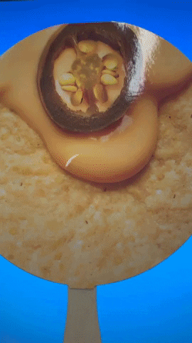 Ricos cheese nacho nacho cheese ricosproducts GIF