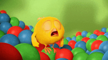 Fun GIF