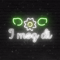 Typography Lights GIF by typix