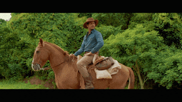 Abubuya GIF