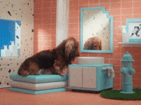 Dogs-eating-dogs GIFs - Get the best GIF on GIPHY