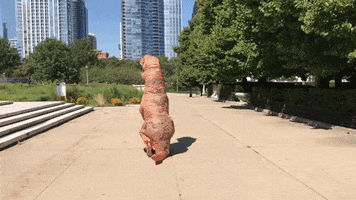 Feeling Good Chicago GIF by Field Museum