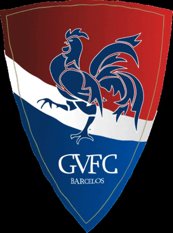 Gvfc GIF by Gil Vicente FC