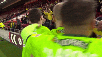 NorwichCityFC sports football sport soccer GIF