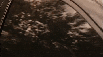 Better Call Saul GIF