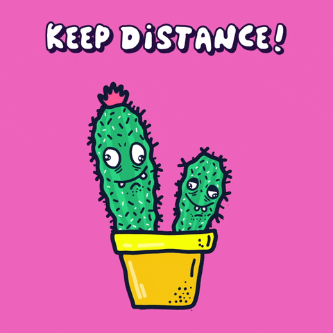 Stay Away Cactus GIF