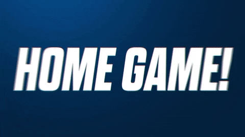 home games meaning, definitions, synonyms