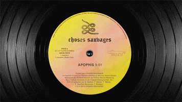 audiogram_ vinyl turning audiogram apophis GIF